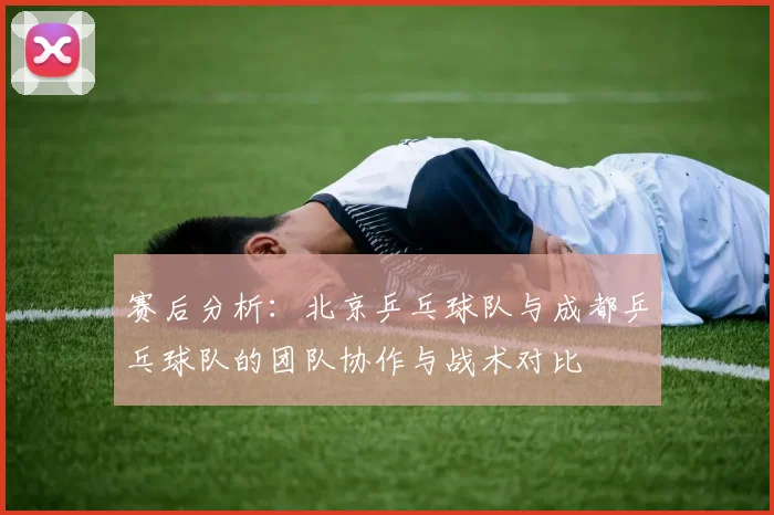赛后分析:北京乒乓球队与成都乒乓球队的团队协作与战术对比