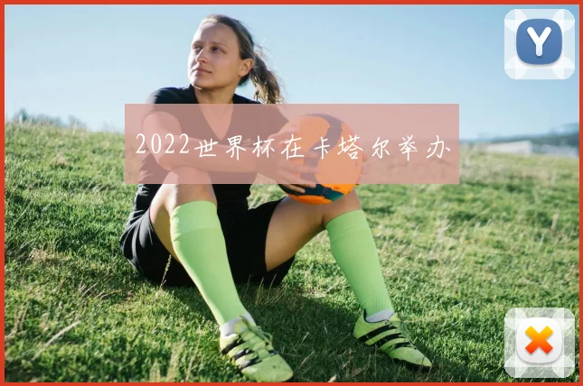 2022世界杯在卡塔尔举办