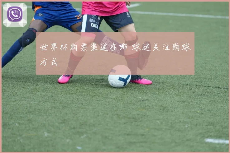 世界杯购票渠道在哪 球迷关注购球方式
