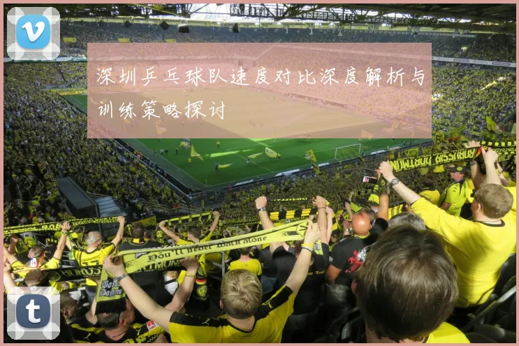 深圳乒乓球队速度对比深度解析与训练策略探讨