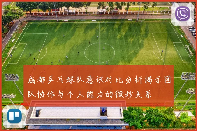 成都乒乓球队意识对比分析揭示团队协作与个人能力的微妙关系