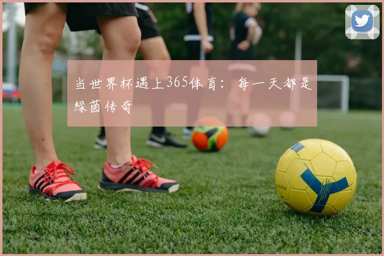 当世界杯遇上365体育：每一天都是绿茵传奇