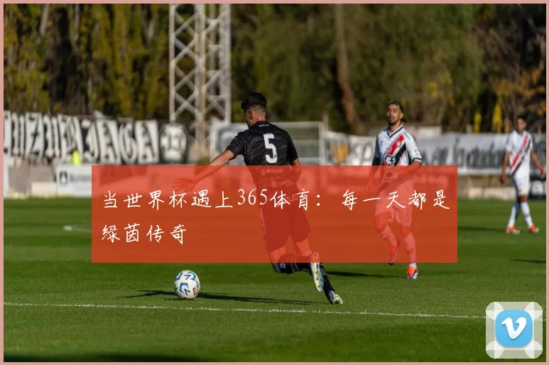 当世界杯遇上365体育:每一天都是绿茵传奇