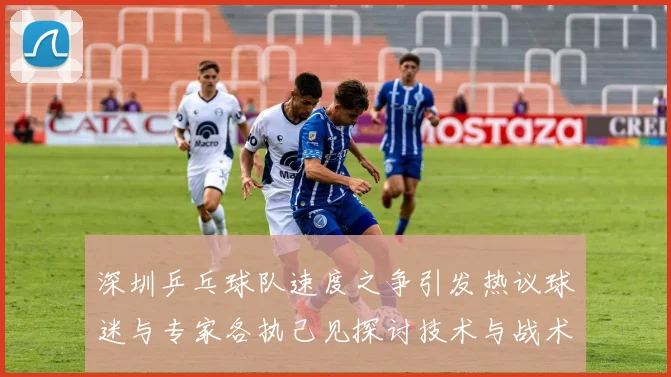 深圳乒乓球队速度之争引发热议球迷与专家各执己见探讨技术与战术