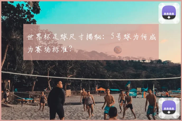 世界杯足球尺寸揭秘：5号球为何成为赛场标准？