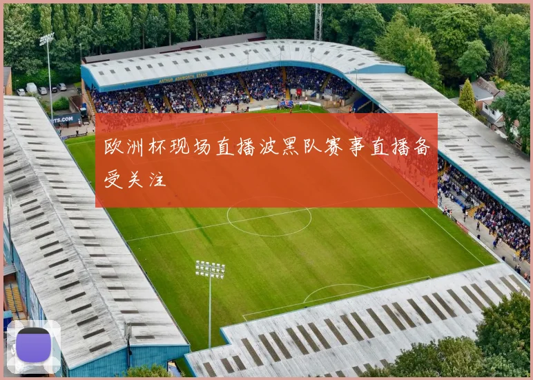 欧洲杯现场直播波黑队赛事直播备受关注