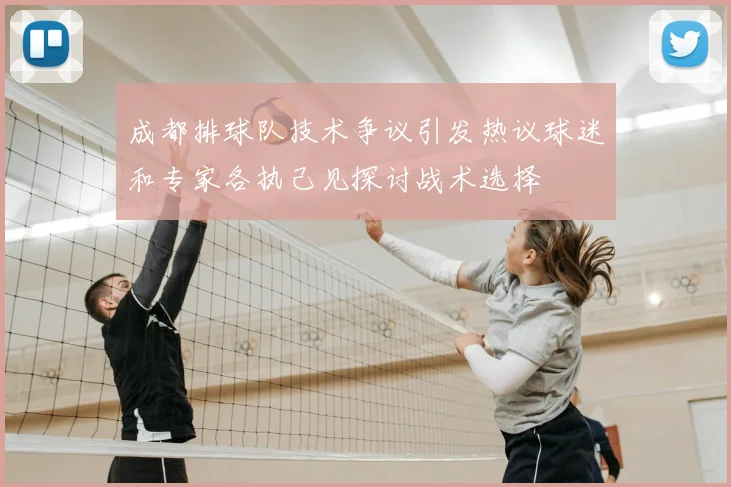 成都排球队技术争议引发热议球迷和专家各执己见探讨战术选择