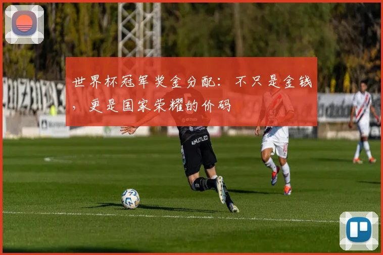 世界杯冠军奖金分配:不只是金钱,更是国家荣耀的价码
