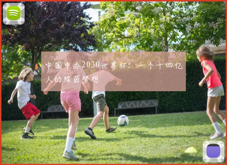 中国申办2030世界杯：一个十四亿人的绿茵梦想