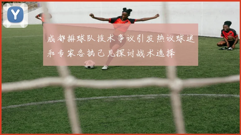 成都排球队技术争议引发热议球迷和专家各执己见探讨战术选择