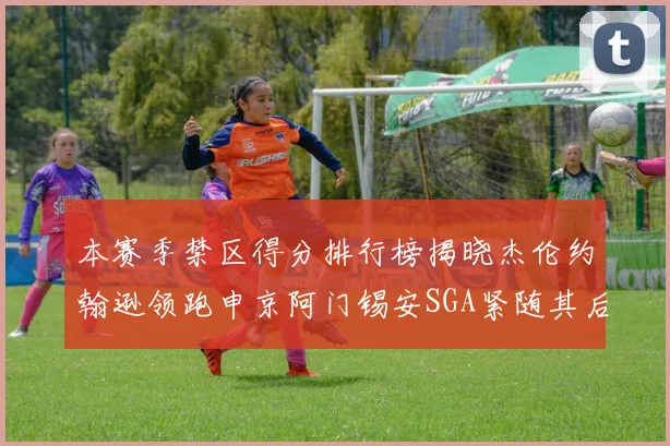 本赛季禁区得分排行榜揭晓杰伦约翰逊领跑申京阿门锡安SGA紧随其后