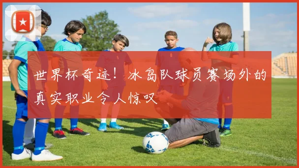 世界杯奇迹!冰岛队球员赛场外的真实职业令人惊叹