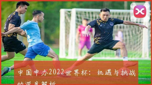 中国申办2022世界杯：机遇与挑战的深度解析