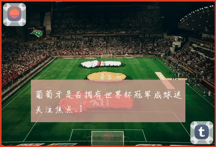 葡萄牙是否拥有世界杯冠军成球迷关注焦点_1
