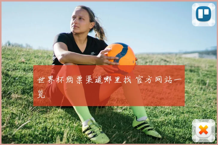 世界杯购票渠道哪里找 官方网站一览