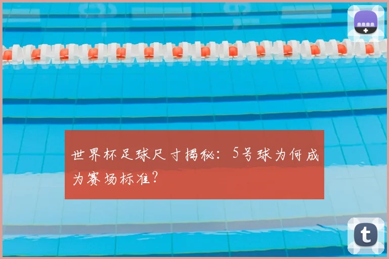 世界杯足球尺寸揭秘：5号球为何成为赛场标准？