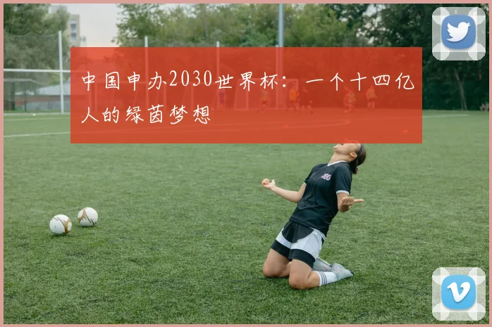 中国申办2030世界杯：一个十四亿人的绿茵梦想