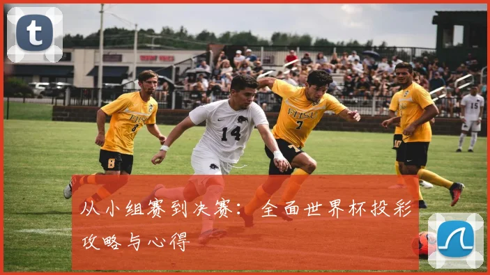 从小组赛到决赛：全面世界杯投彩攻略与心得